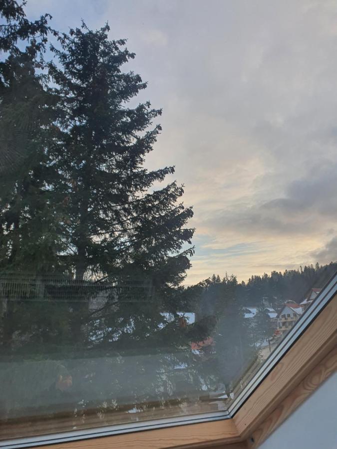 Family Sinaia
