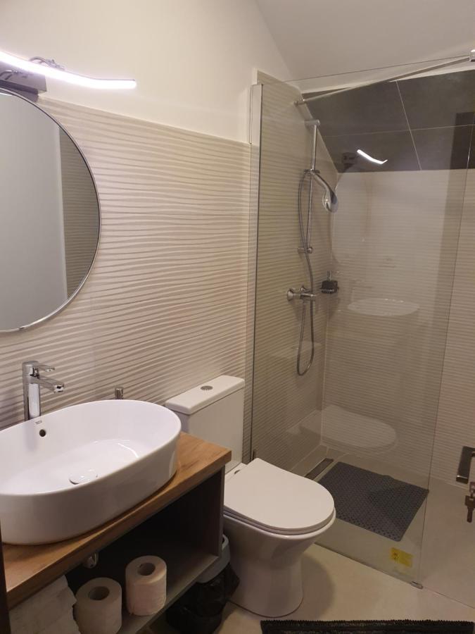 Family Apartament Sinaia